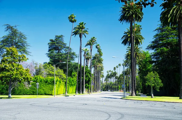 The palm tree lined street of beverly hills, california on a sunny day.
