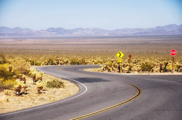 A road within Joshua Tree National Park in cholla garden area of Pinto Basin in sunny california.