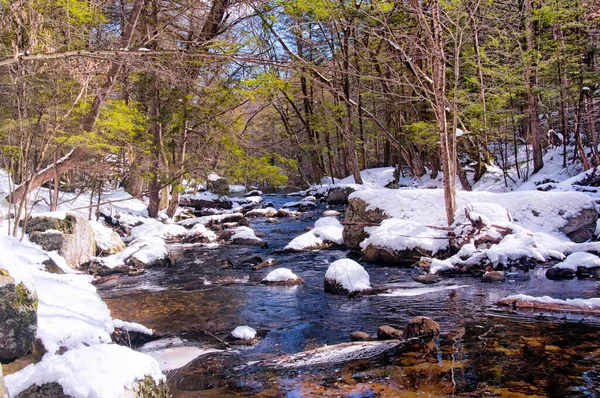 Small Stream Flowing Enders State Forest Granby Connecticut Sunny Winter — Fotografia de Stock