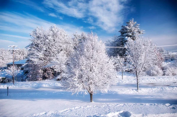 Зимнее Снежное Голубое Небо После Зимней Бури Биддефорде Штат Мэн — стоковое фото