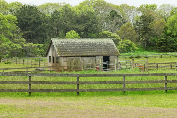 Weathered Building Alpaca Farm Oak Bluffs Massachusetts Martha Vineyard — Stock Photo, Image