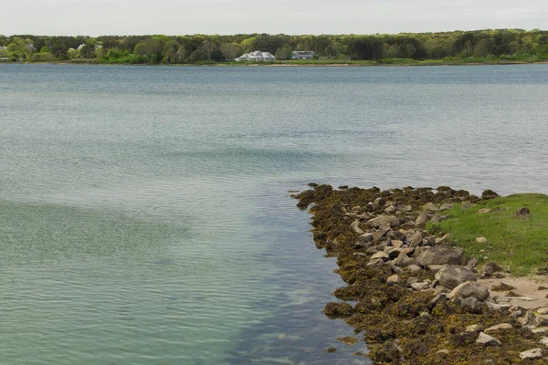 the brackish waters and shoreliine within oak bluffs massachusetts on martha's vineyard. 