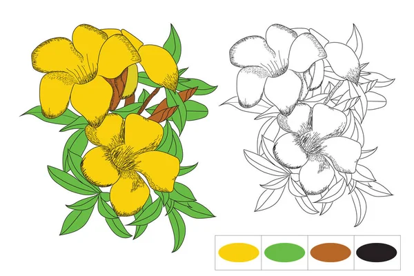 本のページを着色するための手描きの花ベクトル — ストックベクタ