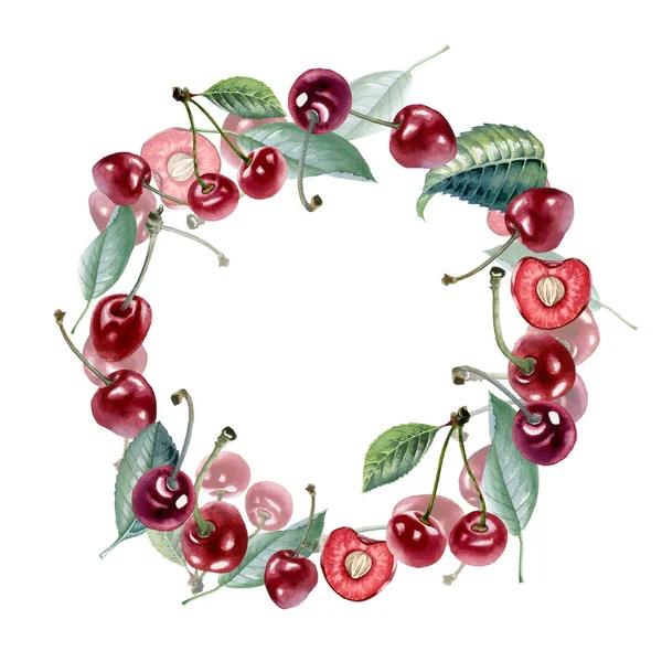 Kiraz. Kiraz çileğinin botanik suluboya çizimi.