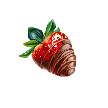 Çikolatada kırmızı çileğin suluboya çizimi