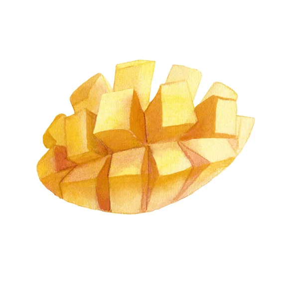 Acuarela botánica ilustración de fruta de mango —  Fotos de Stock