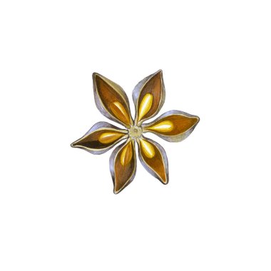 Sıcak şarap için yıldız anasonunun suluboya çizimi. Beyaz arka planda izole edilmiş. Kış tatili için tasarım kartları. Tekstil, peçete, silecek, havlu, ambalaj kağıdı, tatlı paketi için hazır.