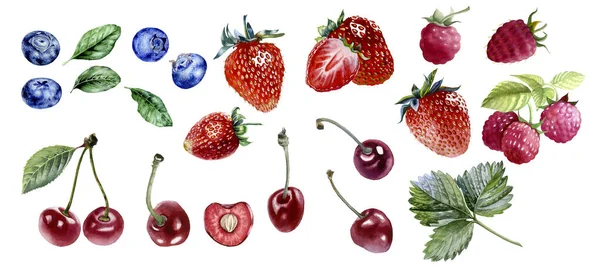 Raspberry Strawberry Cherry Blueberry Leaves Watercolor Illustration Isolated White Background — Stockfoto