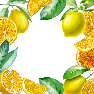 Limon. Sarı limonun botanik suluboya çizimi. Beyaz arka planda izole edilmiş. Çay, yeşil çay, meyve çayı için tasarım. Tekstil, peçete, silecek, raptiye ve sofra takımı için mükemmel.