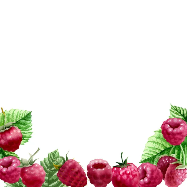 Frame Raspberries Isolated White Background Design Set Deserts Jam Tea — Zdjęcie stockowe