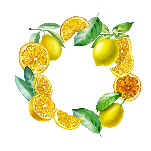 Lemon Botanická Akvarel Ilustrace Žlutého Citronu Izolované Bílém Pozadí Design — Stock fotografie