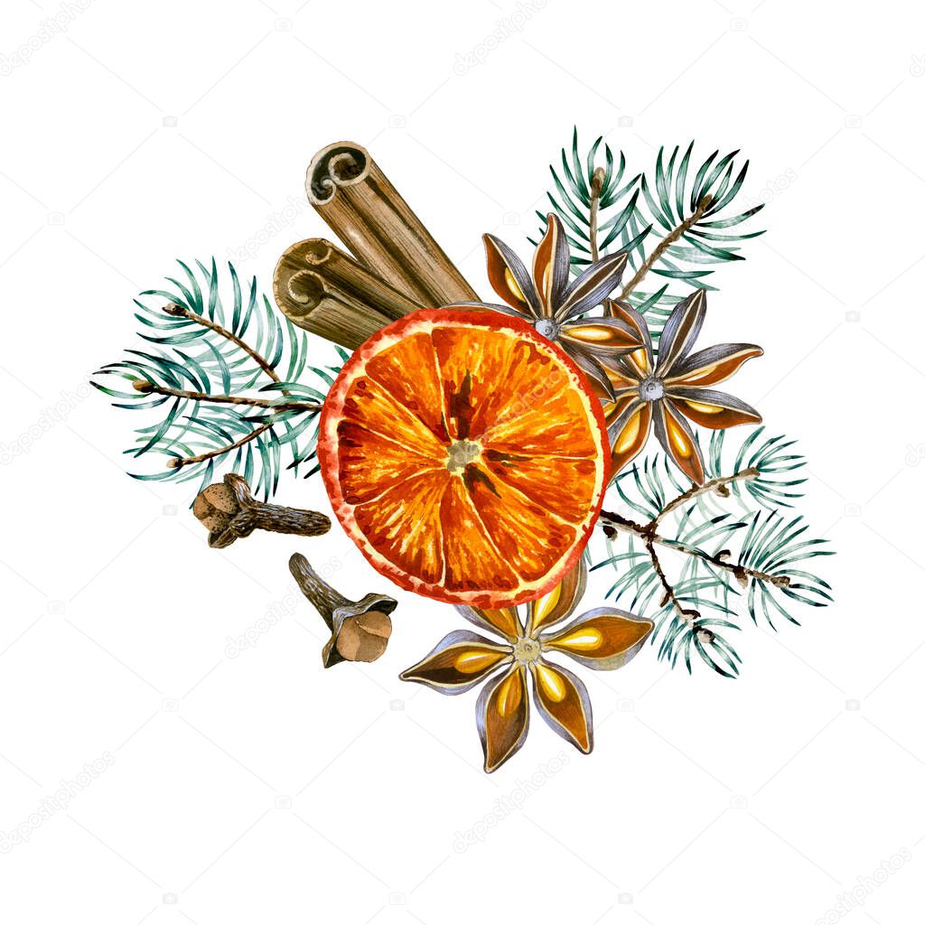 Watercolor illustration of Christmas tree branch and spices. Isolated on White background. For design mulled wine, winter holidays. Set for textile, napkins, wiper, towel, wrapping paper