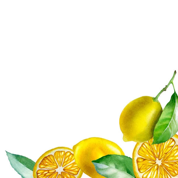 Lemon Botanická Akvarel Ilustrace Žlutého Citronu Izolované Bílém Pozadí Design — Stock fotografie