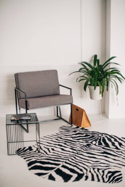 Koltuğu ve halısı olan fotoğraf stüdyosu 