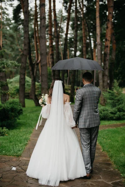 Boda Foto Paseo Naturaleza — Foto de Stock