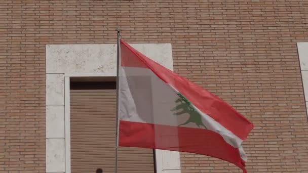 Bandera Nacional Del Líbano Formada Por Dos Franjas Rojas Horizontales — Vídeo de stock