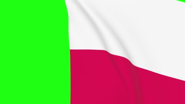 Польша Размахивает Флагом Перехода 1080 Плавный Цикл Анимации Анимация Зеленом — стоковое видео