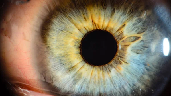 Mycket Nära Makro Foto Mänskligt Öga Human Eye Närbild Detalj — Stockfoto