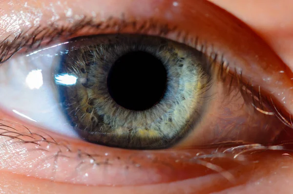 Mycket Nära Makro Foto Mänskligt Blått Öga Human Eye Närbild — Stockfoto