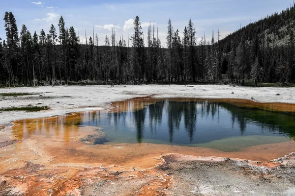 Termico di yellowstone — Foto Stock