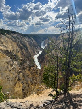 Yellowstone Ulusal Parkı 'nda Lower Falls