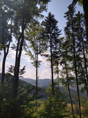 Doğa benim gözlerimden