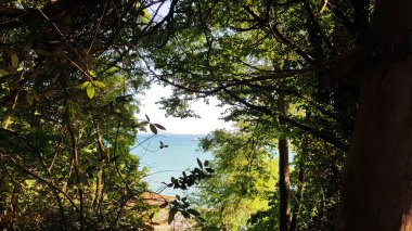 Denize açılan yeşil bir pencere.