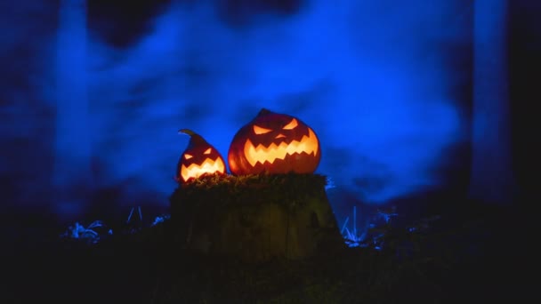 Calabazas de Halloween siniestras en humo azul o árbol podrido niebla con musgo. — Vídeos de Stock