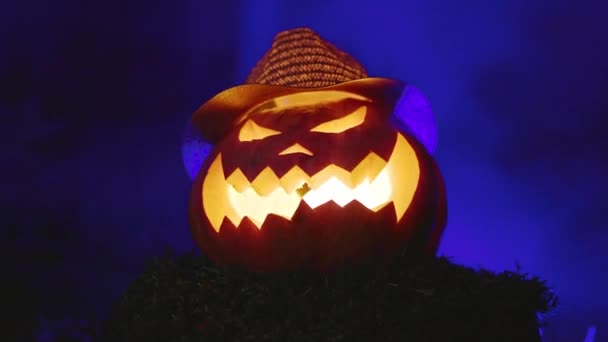 Läskig pumpa lykta för Halloween står mossa mörk skog blå rök — Stockvideo