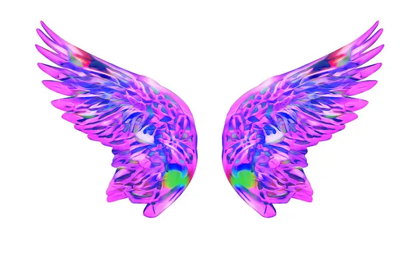 Artistically Drawn Bright Wings Isolated Background — Stock Photo, Image