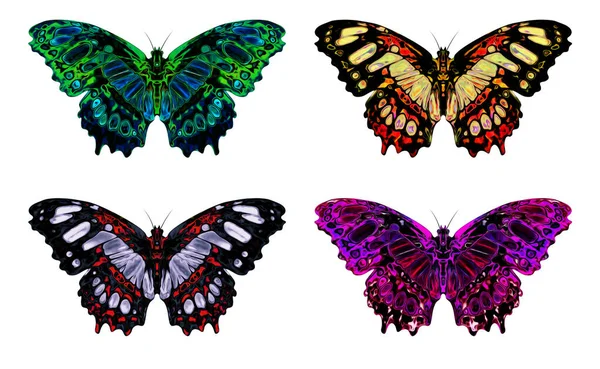 매혹적 추상적 나비의 디자인 창의력 — 스톡 사진
