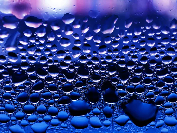 Transparent water drops on window. Blue and purple tint. Condensate close up.