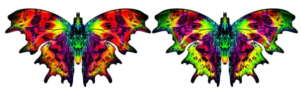 Illustration of butterflies isolated on white. Abstract gradient butterflies