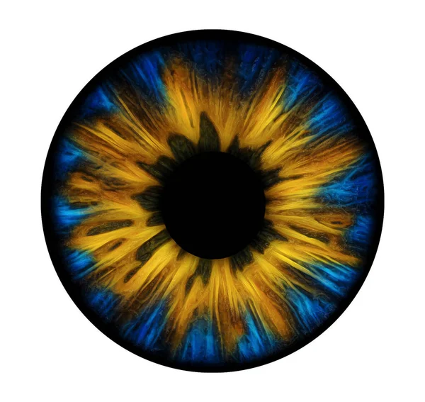 Ukraine flag colours eye iris. Detailed illustration of human iris. Concept of hope