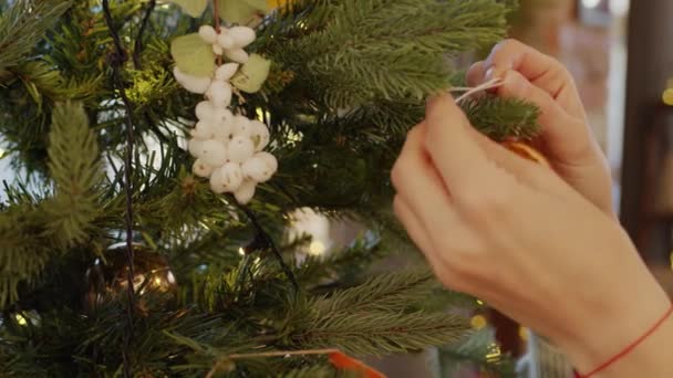 Una Donna Appesa Essiccato Fetta Arancione Albero Natale — Video Stock