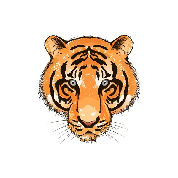 Ilustração Tigre Aquarela Desenhada Mão — Vetor de Stock