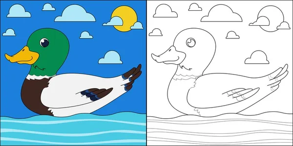 Nado Pato Mallard Adequado Para Ilustração Vetor Página Coloração Infantil — Vetor de Stock