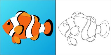 Clownfish suitable for children's coloring page vector illustration vector Clownfish suitable for children's coloring page vector illustration vector