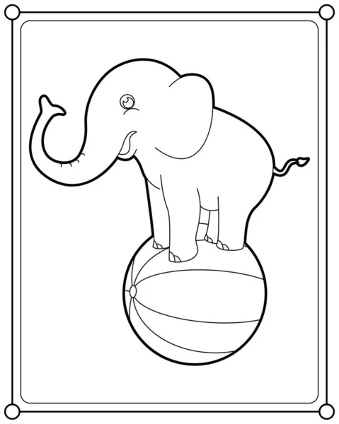 Elephant Circus Mostra Adatto Bambini Colorare Pagina Vettoriale Illustrazione Vettoriale Stock