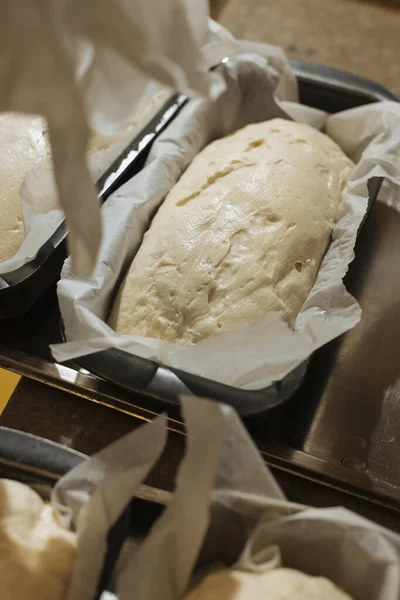 Zeytinyağlı ev yapımı ekmek hamuru