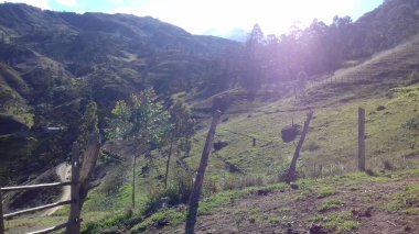 Güneşin ilk ışınlarını hissetmek.