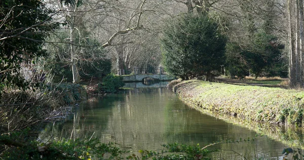 Promenade Fluviale Lode Cambridgeshire Avec Pont Ruisseau Arbres — Photo
