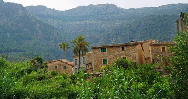 Άποψη Του Soller Mallorca Tramuntana Βουνά Στο Παρασκήνιο — Φωτογραφία Αρχείου