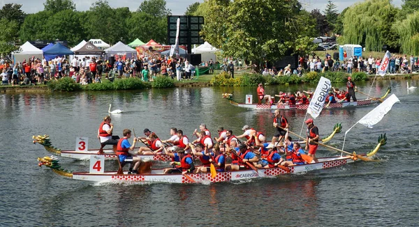 Neots Cambridgeshire England August 2022 Three Dragon Boats Race River — Fotografia de Stock