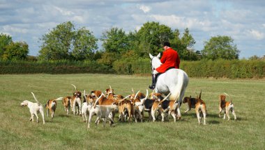 Cambridgeshire Hunt ve Enfield Chase Rider geleneksel Jacket Horse ve Hounds 'la.