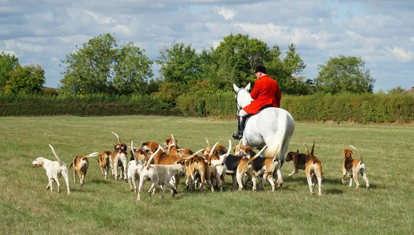 Cambridgeshire Hunt ve Enfield Chase Rider geleneksel Jacket Horse ve Hounds 'la.