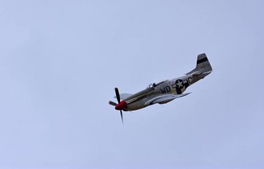 Küçük Gransden, CAMBRIDGESHIRE, İngiltere - 29 AĞUSTOS 2021: Klasik Kuzey Amerika P-51 Mustang uçağı. 