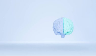 Sağ ve sol beyin rengi pastel mavi arka planda izole edilmiş. İnsan beyni anatomik model üç boyutlu resimleme, komik konuşma balonu düşünüyorum. 3d hazırlayıcı
