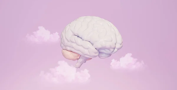 Cerebro Mínimo Con Nube Sobre Fondo Rosa Pastel Cerebro Humano — Foto de Stock