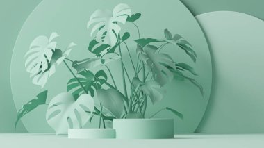 Podyum sahnesi, tropikal palmiye yaprakları ve soyut arka plan. Pastel mavi ve yeşil renkler sahnesi. Sosyal medya afişleri, promosyon ve ürün için 3D moda hazırlama